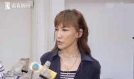 港媒爆料李玟二姐视频,揭秘家族惊人内幕